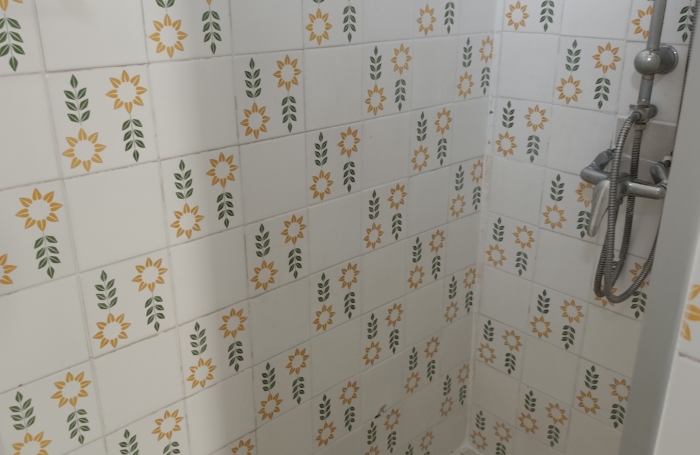 Plateau ROY apt F4 sur jardin