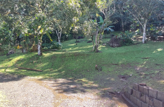 Haut de villa T5 meublé indépendant avec piscine privée et grand terrain arboré