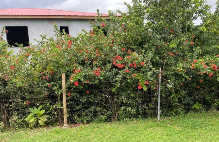 Location Maison 88m&sup2; 4 pi&#232;ces Ducos