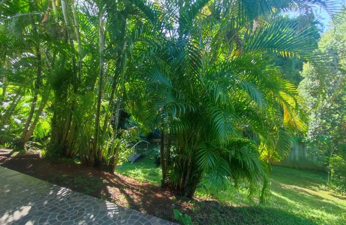 Charmant T3 meubl&eacute;- EAU et ELECTRICITE compris