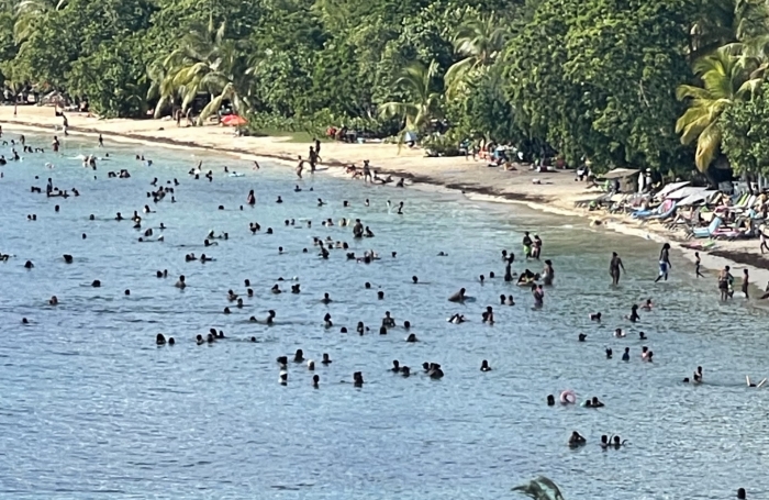 Vente Appartement 20m&sup2; 1 pièce Sainte Anne