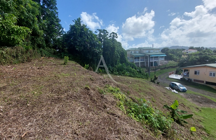 Vente Terrain 646m² Le Lamentin