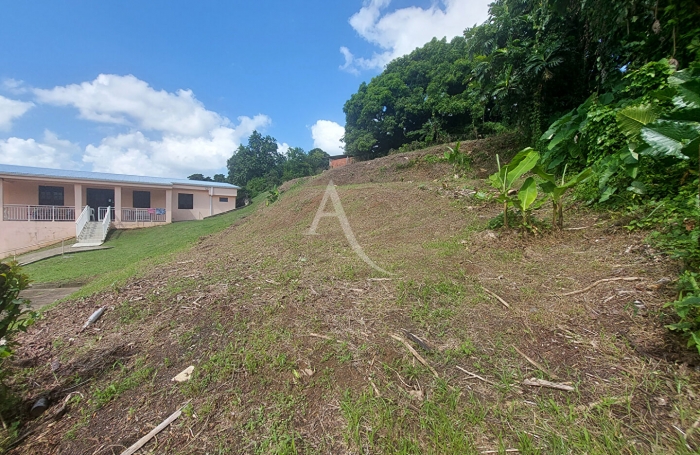 Vente Terrain 646m² Le Lamentin