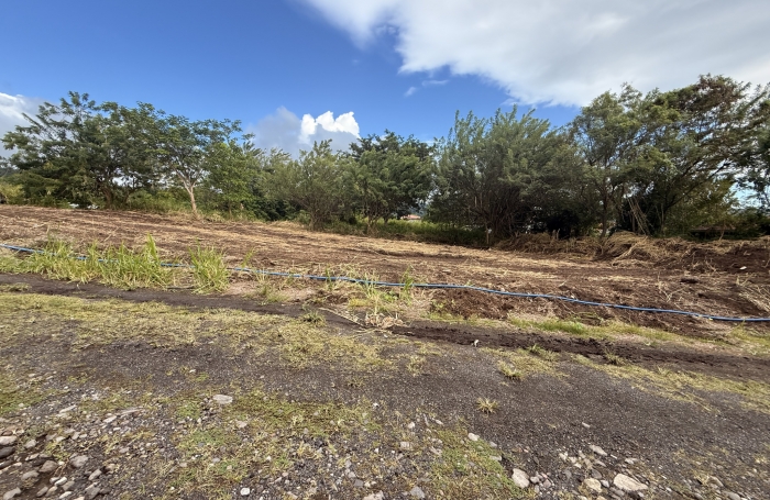 Terrain constructible, vue montagne Pel&eacute;e - 442 M2 - SAINT-PIERRE