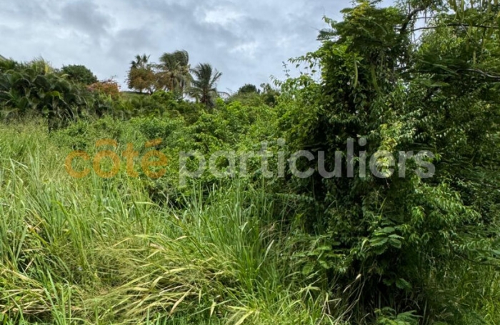 Vente Terrain 1735m&sup2; Sainte Anne