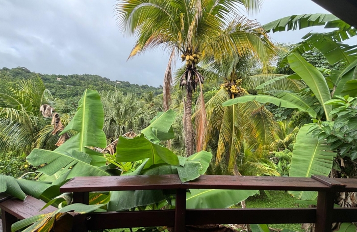 Ensemble 4 habitations + 4 piscines - Terrain 4845m2 - RIVIERE PILOTE