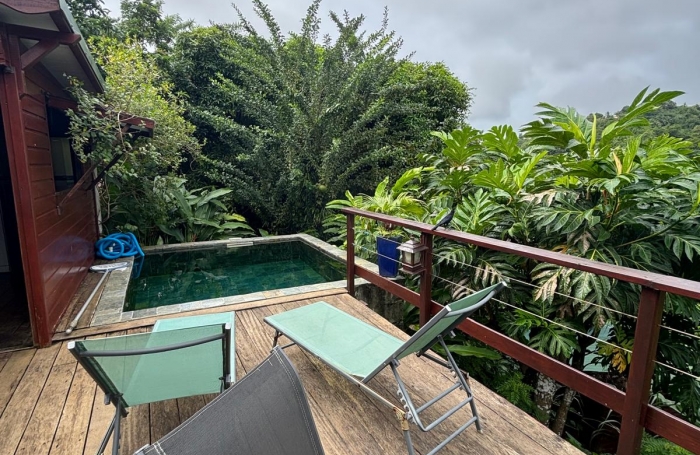 Ensemble 4 habitations + 4 piscines - Terrain 4845m2 - RIVIERE PILOTE