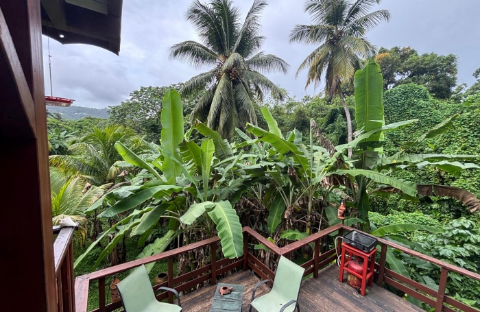 Ensemble 4 habitations + 4 piscines - Terrain 4845m2 - RIVIERE PILOTE