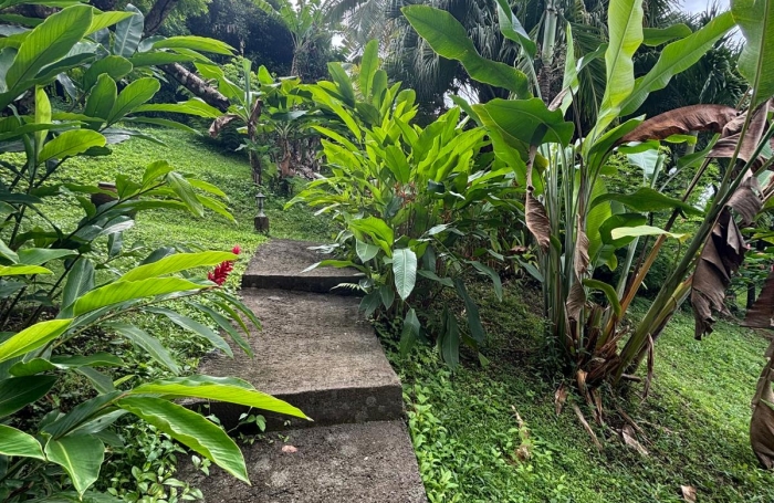 Ensemble 4 habitations + 4 piscines - Terrain 4845m2 - RIVIERE PILOTE