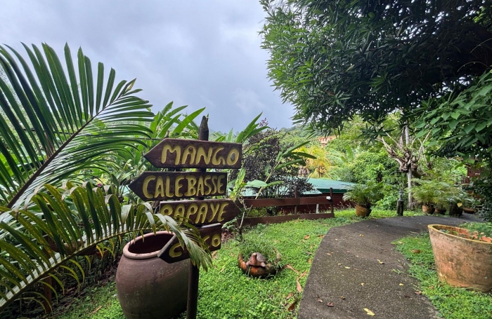 Ensemble 4 habitations + 4 piscines - Terrain 4845m2 - RIVIERE PILOTE