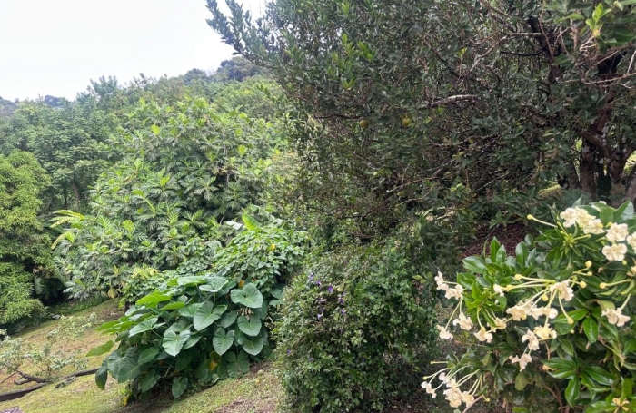 Vente Maison 203.35m&sup2; 8 pièces Sainte Luce