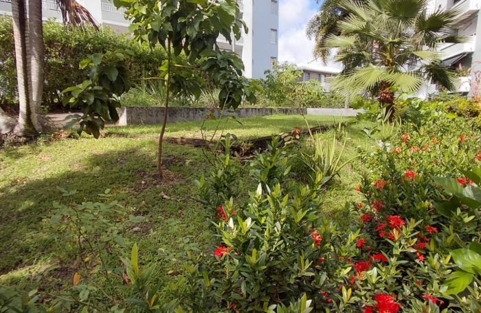 Appartement F2 en r&eacute;sidence Senior, calme dans un environnement agr&eacute;able - SCHOELCHER