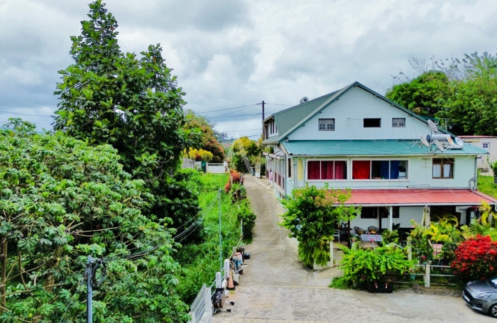 Vente Maison 530m&sup2; 23 pi&egrave;ces Gros Morne