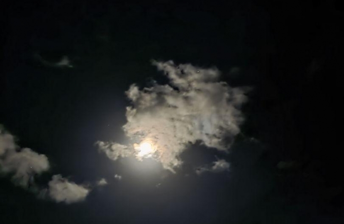 Vente Appartement 17m&sup2; 1 pièce Le Diamant