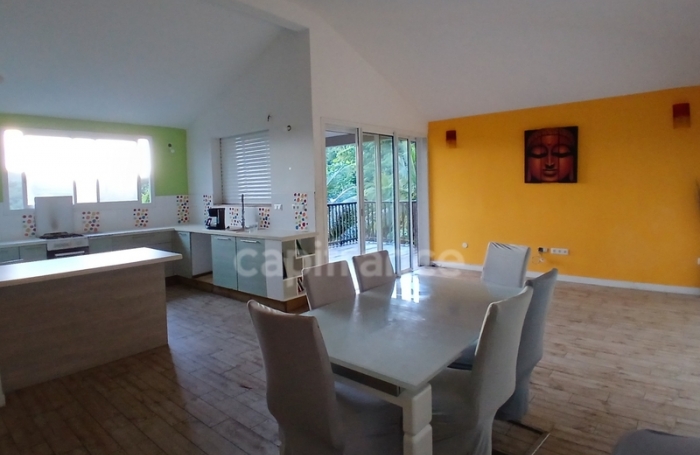 Vente Maison 270m&sup2; 13 pièces Rivi&egrave;re Pilote