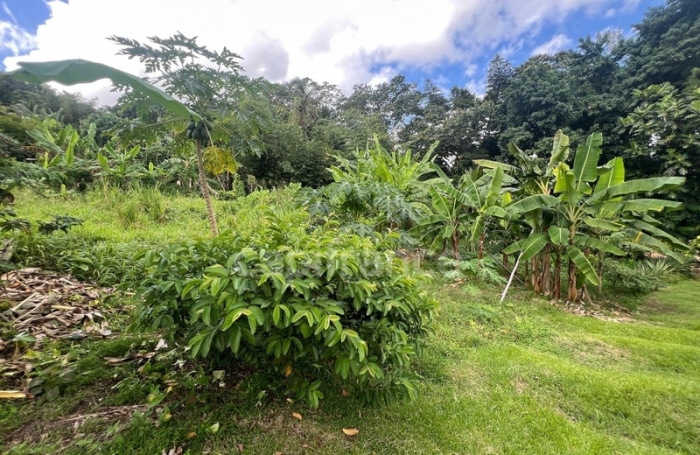 Vente Maison 36m&sup2; 2 pièces Le Lamentin