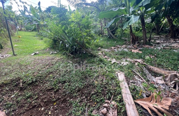 Vente Maison 36m&sup2; 2 pièces Le Lamentin