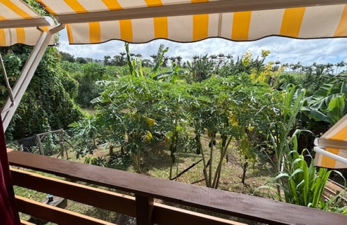 Charmante maison F3 vendue meubl&eacute;e et r&eacute;nov&eacute;e   PETIT-BOURG