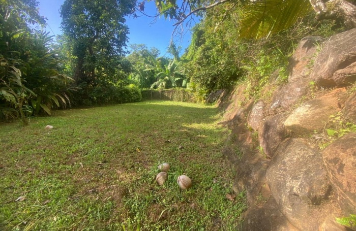 Vente Maison 67m&sup2; 4 pièces Rivi&egrave;re Sal&eacute;e