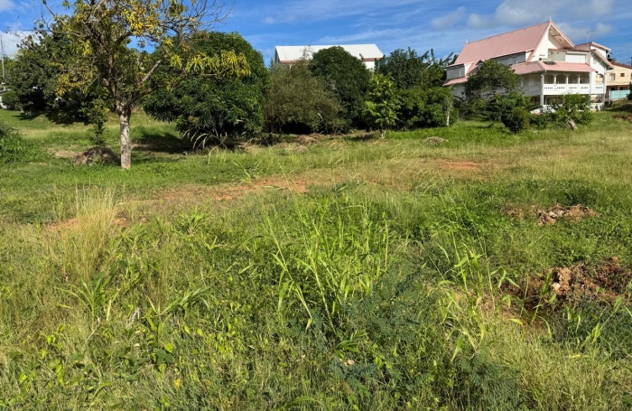 Vente Terrain 656m&sup2; Le Robert