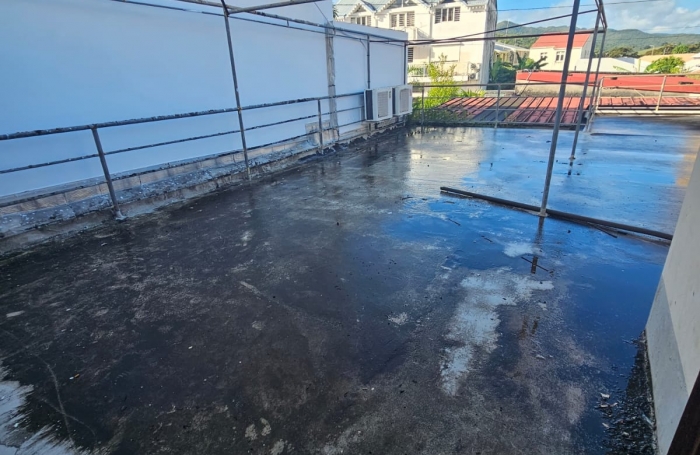 Rivi&egrave;re-Sal&eacute;e   Bien professionnel &agrave; fort potentiel   210 m2 + terrasses