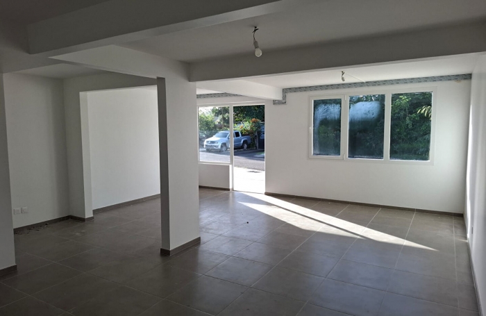 Location Local commercial Rivi&egrave;re Sal&eacute;e