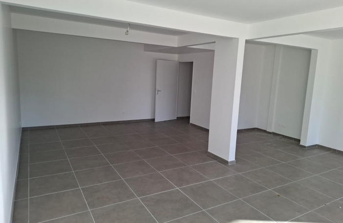 Location Local commercial Rivi&egrave;re Sal&eacute;e