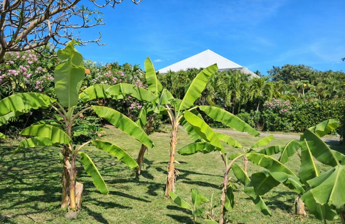 Vente Maison 120m&sup2; 4 pi&egrave;ces Le Vauclin