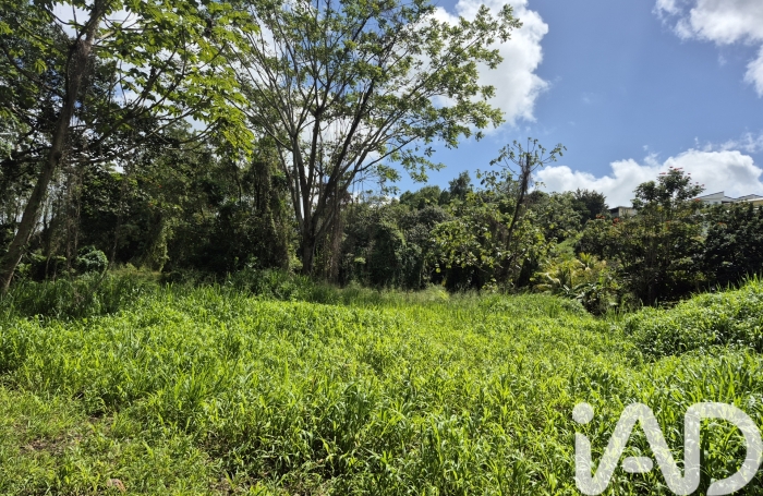 Vente Terrain 3292m&sup2; Ducos