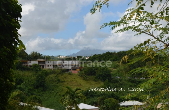 Vente Terrain 1984m&sup2; La Trinit&eacute;