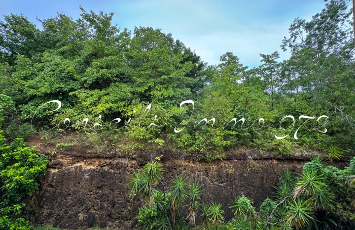 &Agrave; louer   Appartement T2 avec balcon   Terreville - Sch&oelig;lcher