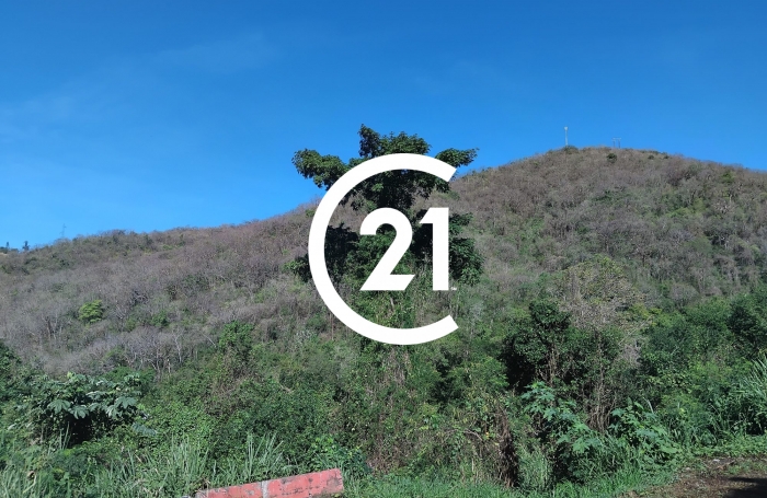 Vente Terrain 3031m&sup2; Case-Pilote