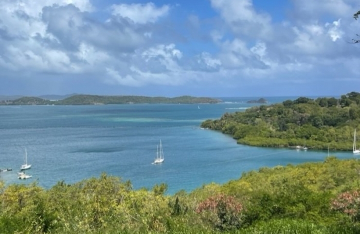 Vente Terrain 1300m&sup2; Le Robert