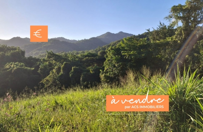 Vente Terrain 97229