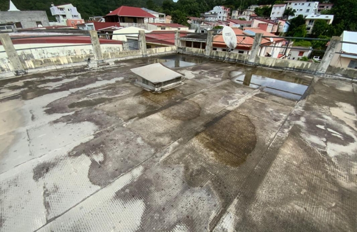 Vente Immeuble 301.04m&sup2; 8 pièces Rivi&egrave;re Pilote