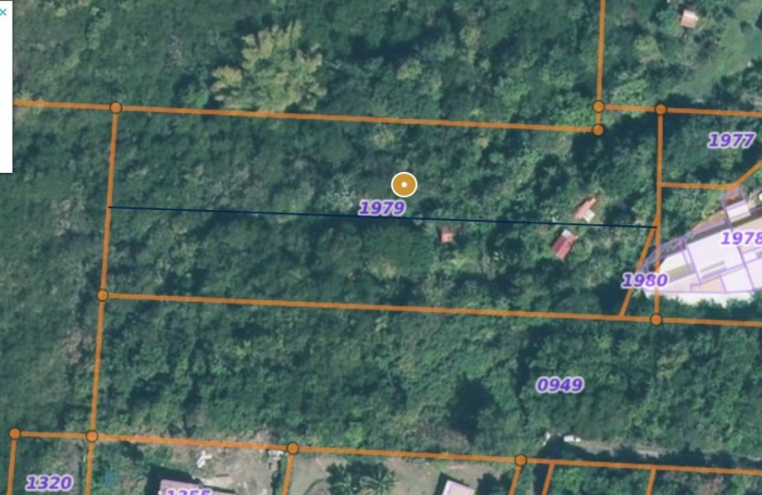 Vente Terrain Le Marin