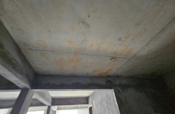 Immeuble de deux appartements + un espace commercial, bourg - SAINTE-LUCE