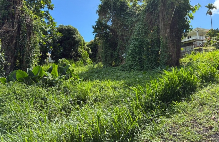 Vente Terrain 1075m&sup2; La Trinit&eacute;
