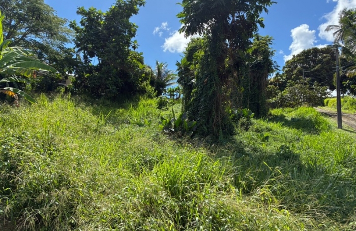 Vente Terrain 1075m&sup2; La Trinit&eacute;