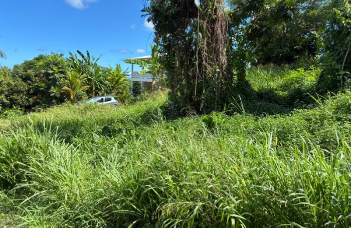 Vente Terrain 1075m&sup2; La Trinit&eacute;