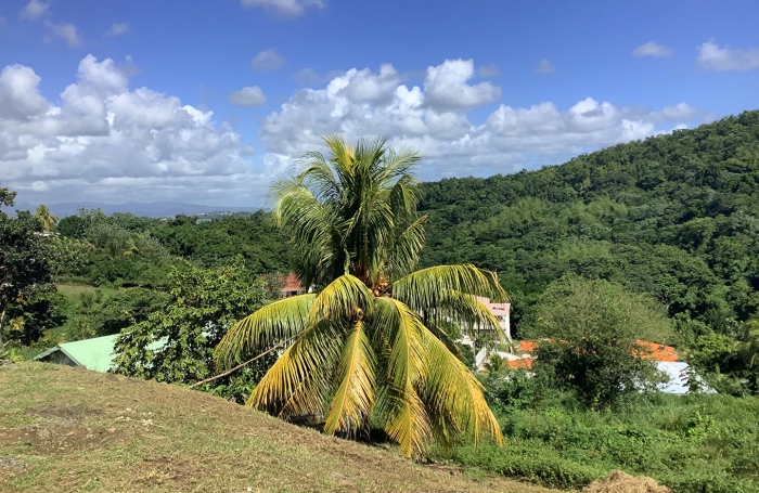 Location Appartement 100m&sup2; 4 pi&egrave;ces Rivi&egrave;re Sal&eacute;e