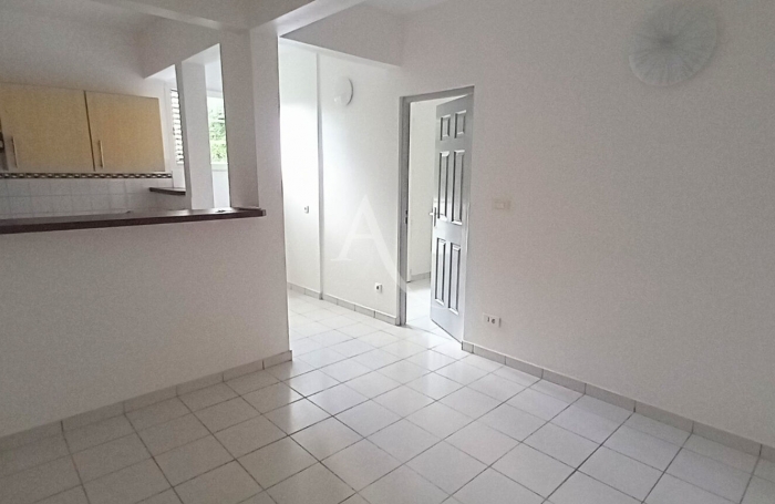 Location Appartement 