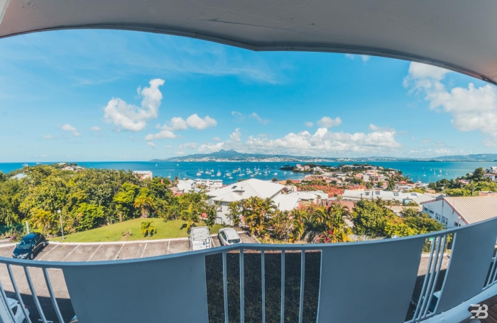 STUDIO VUE MER PANORAMIQUE - PISCINE - PLAGE A PIED - ANSE MITAN - TROIS-ILETS