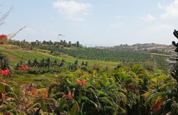 Vente Maison 95m&sup2; 4 pièces Le Vauclin