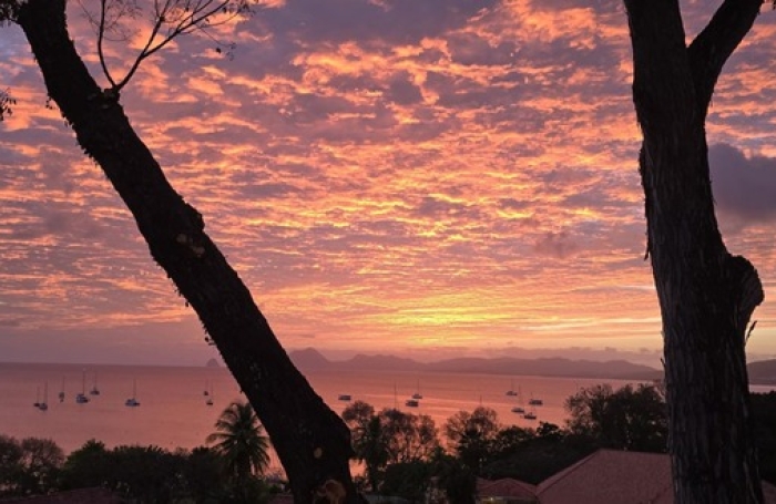 Vente Appartement 29m&sup2; 1 pièce Sainte Anne