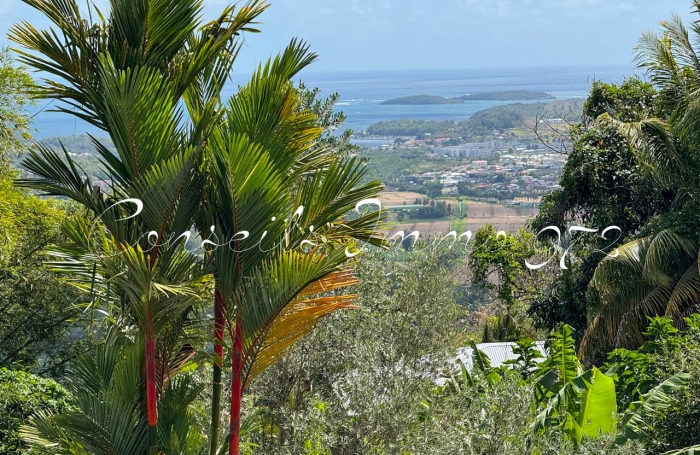 Location Appartement 97240