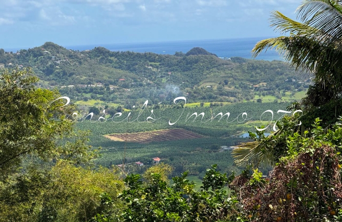 T4 meubl&eacute; vue mer horizon, terrasses & acc&egrave;s privatif - Morne Pitault