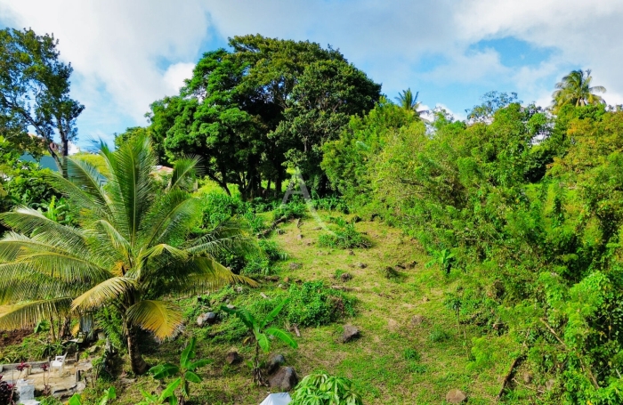 Vente Terrain 
