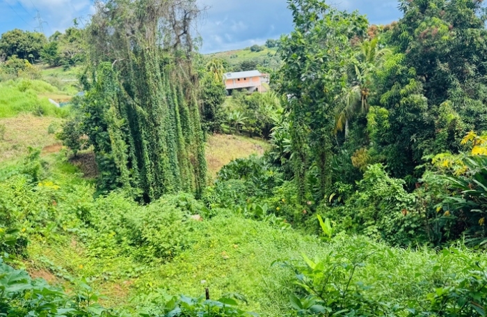 Vente Terrain 97230