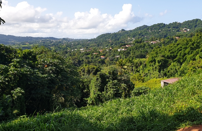 Vente Terrain 97232